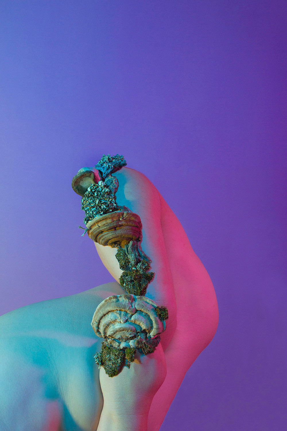 Assemblage (2019–2022)