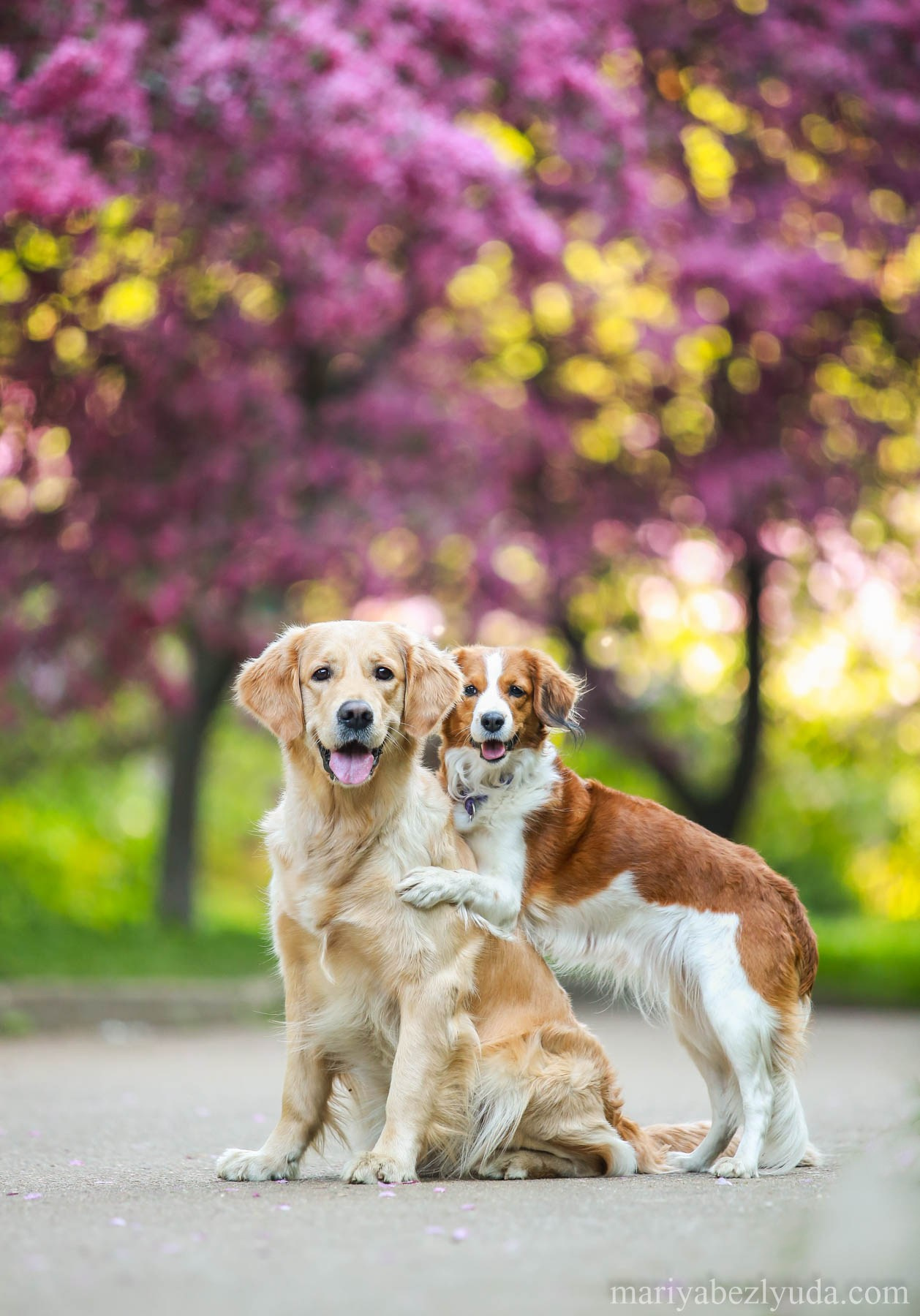 Семейный и детский фотограф в Москве Мария Быкова