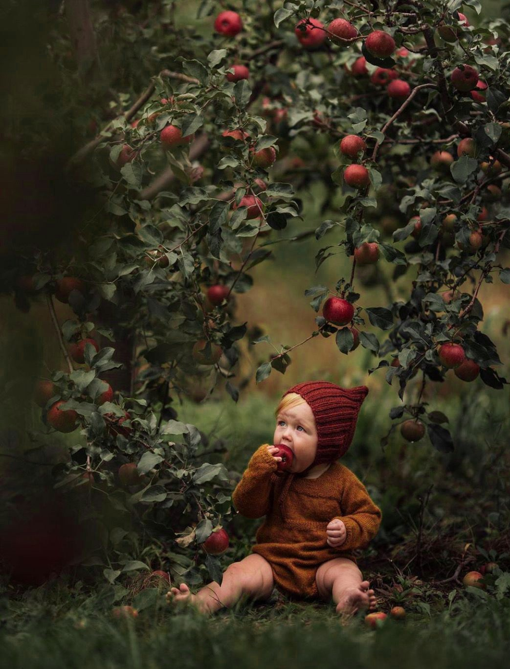 Фотопроект RED APPLES. Бусова Анастасия — фотограф беременности — Томск