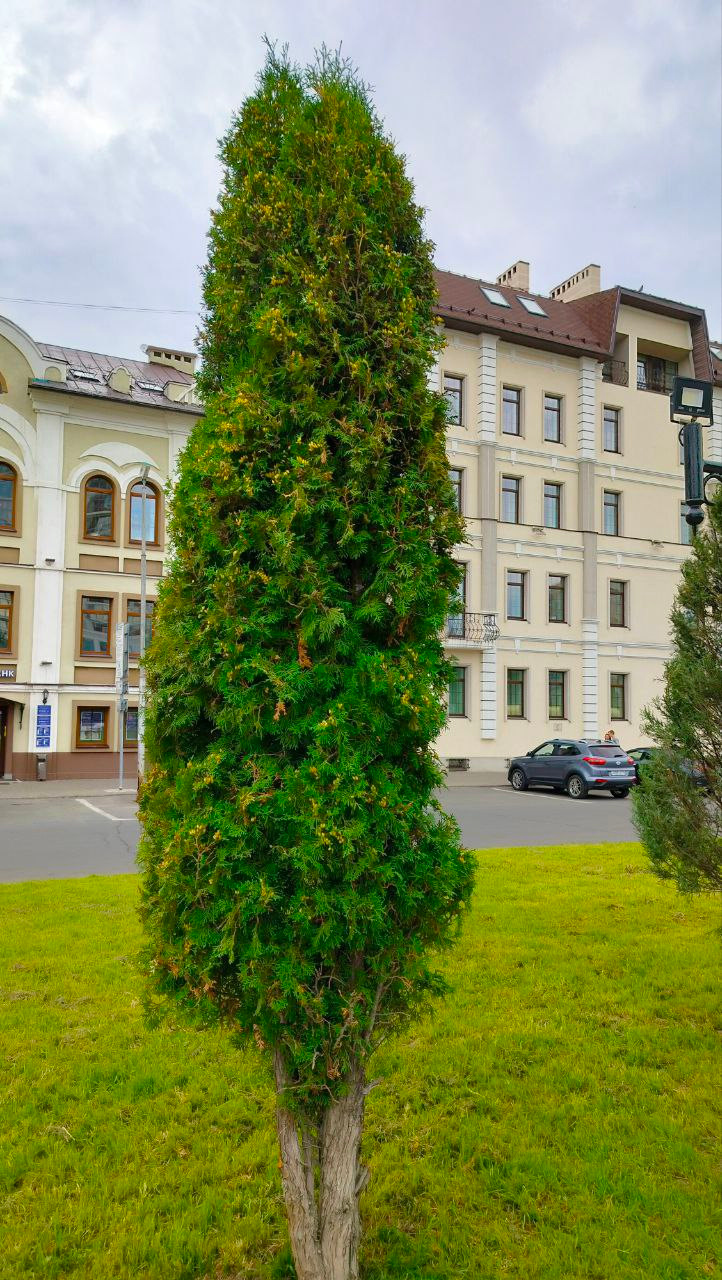 2023: фотолокация Урбан Центр Казань. Портретный и репортажный фотограф в Казани