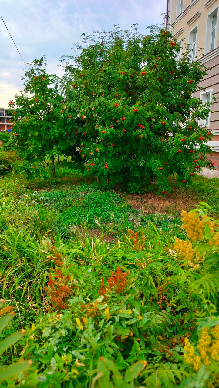 2023: фотолокация Урбан Центр Казань. Портретный и репортажный фотограф в Казани