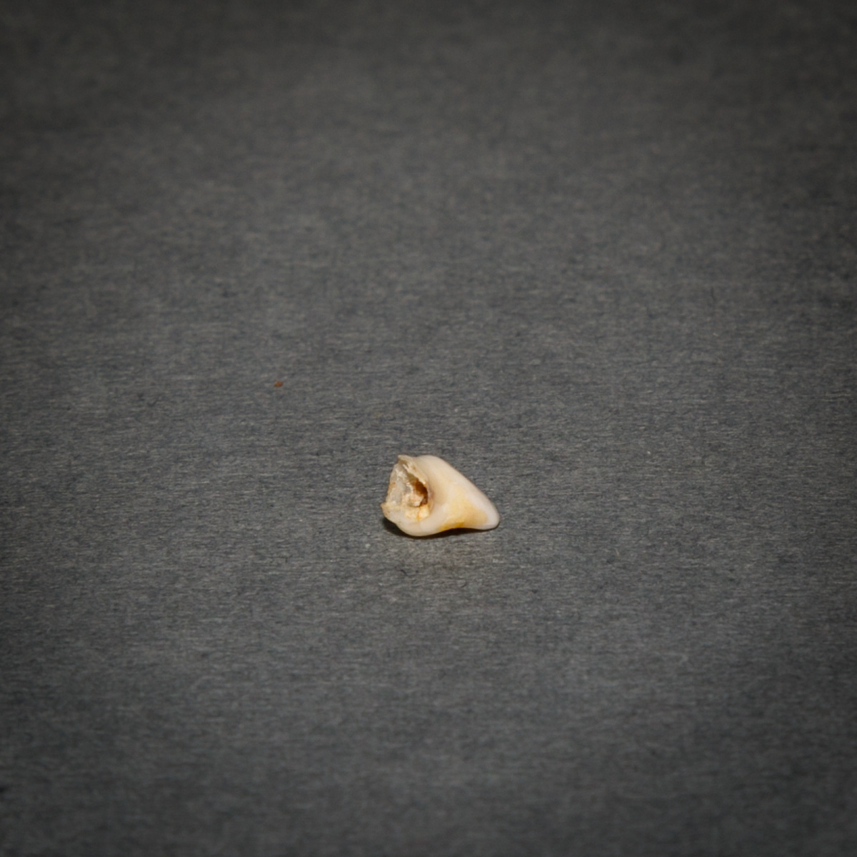 Space -Time. Photographer, Documentary and Art