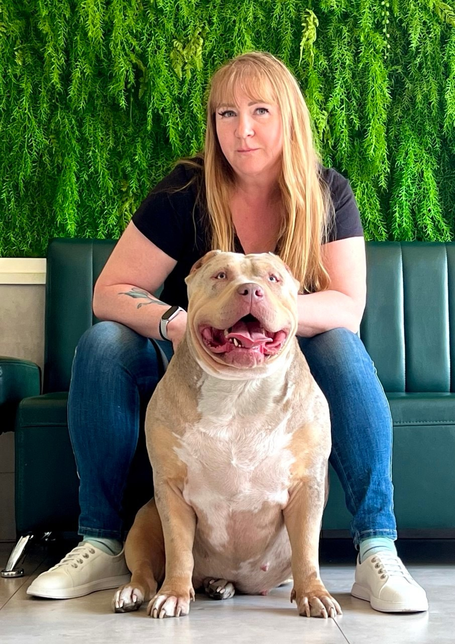 BBK’s Amber. Американские булли XL в г. Калининград. Питомник Great Bully UNIVERSE