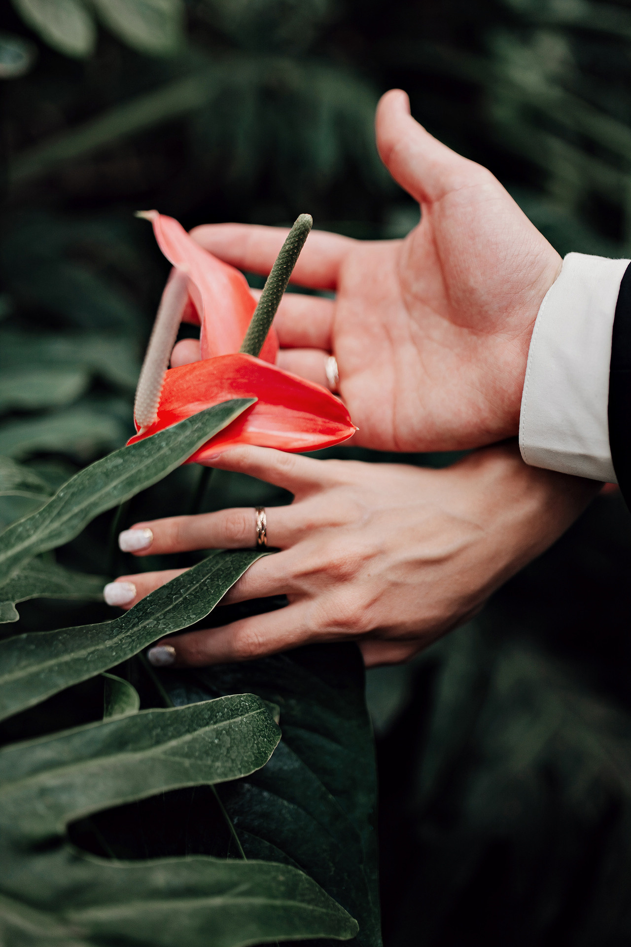 Цены. Анастасия Турсунова арт-фотограф в Москве