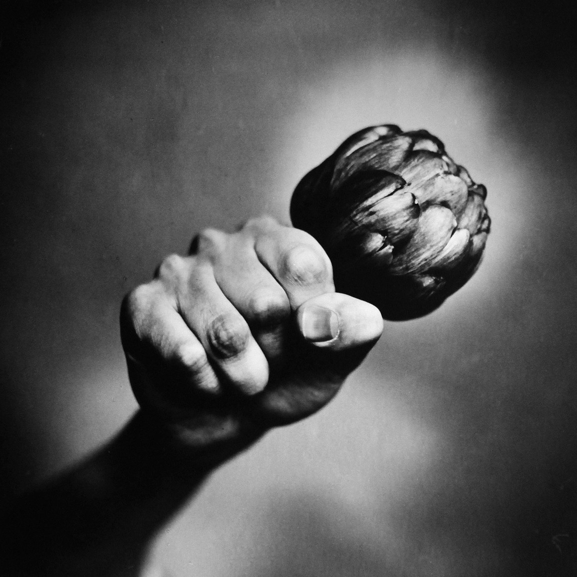 ФРУКтыовощи. ФОТОГРАФ ЛИЛИЯ БИЧУРИНА