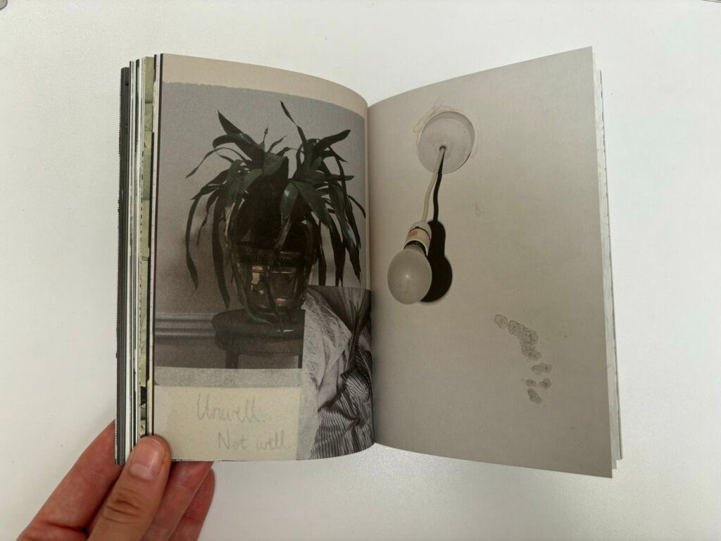 Книга Ройсин Уайт (Róisín White) «Lay Her Down Upon Her Back». Private image