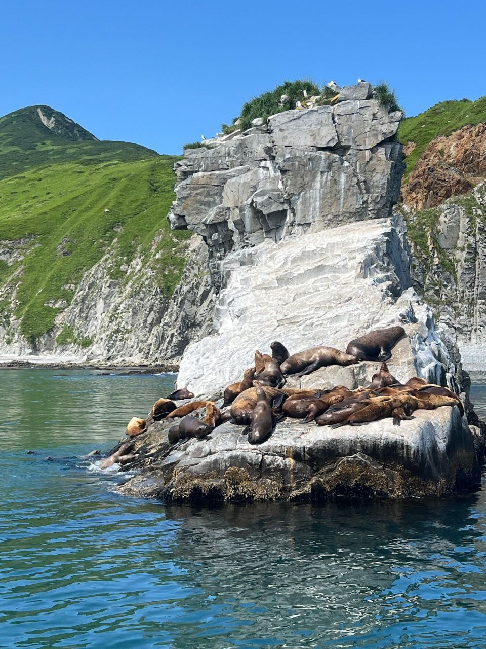 Морская прогулка в бухту Русскую. Экскурсионные туры по Камчатке