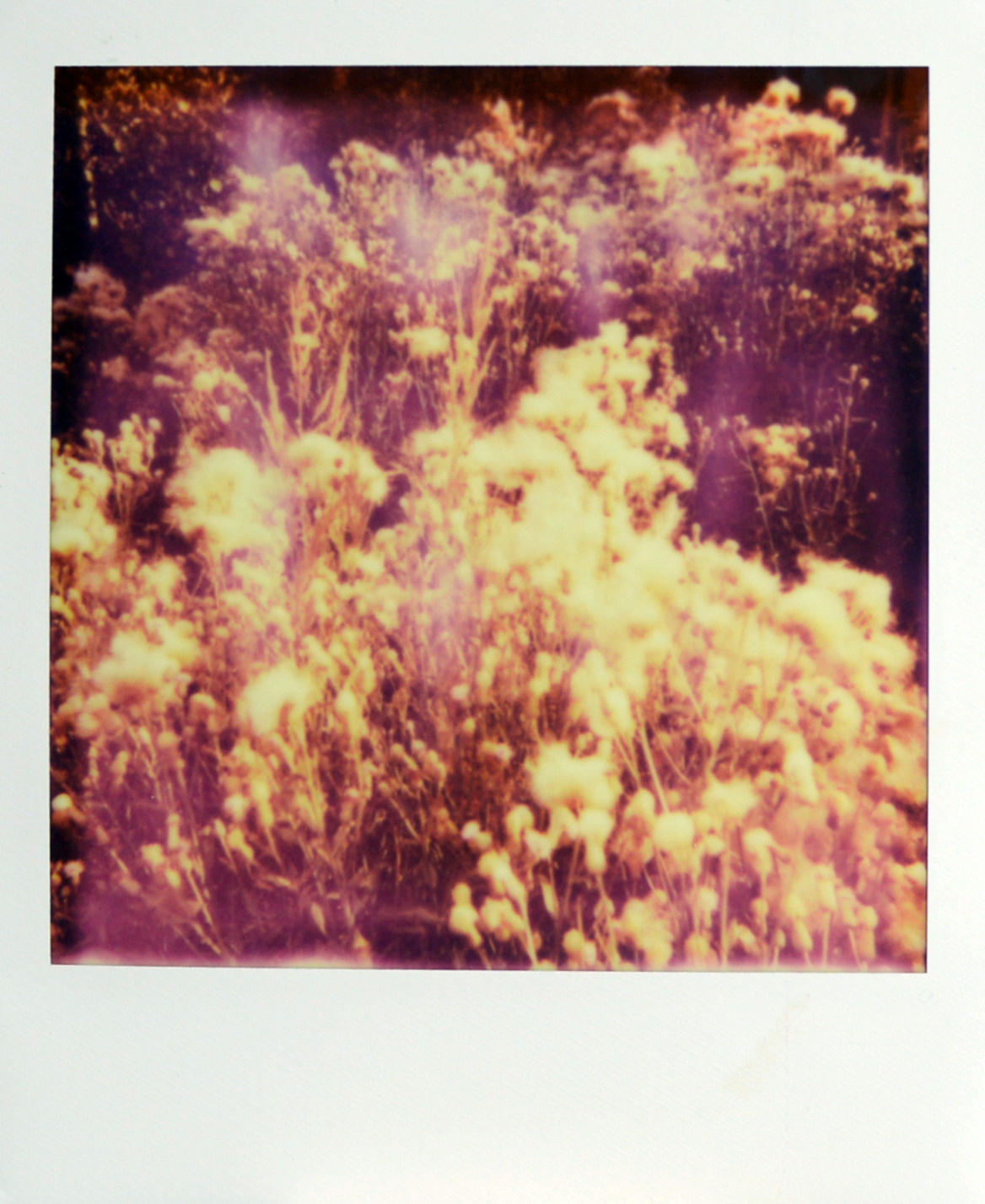 ПУСТОТА. Междисциплинарная художница Мария Кокунова Санкт-Петербург