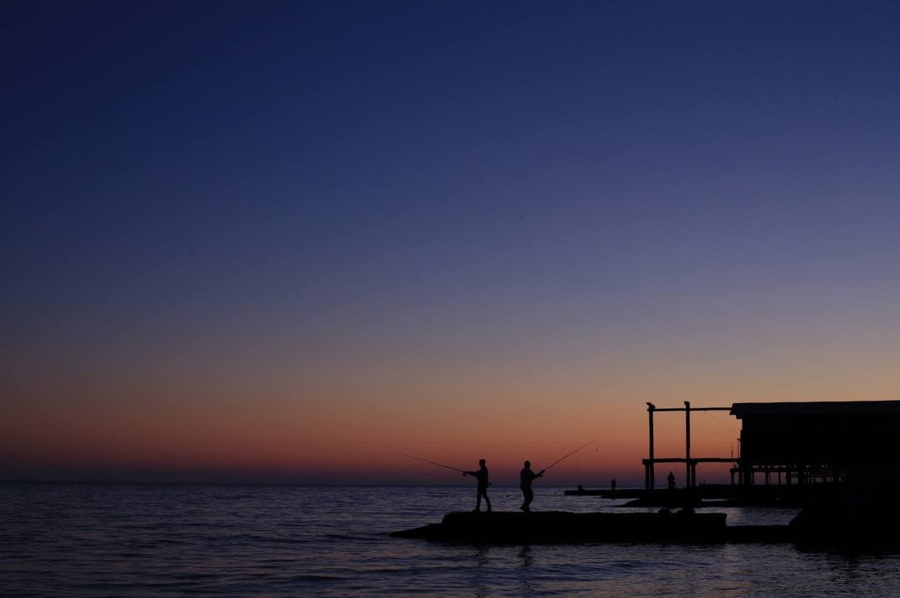 Курс «С нуля»