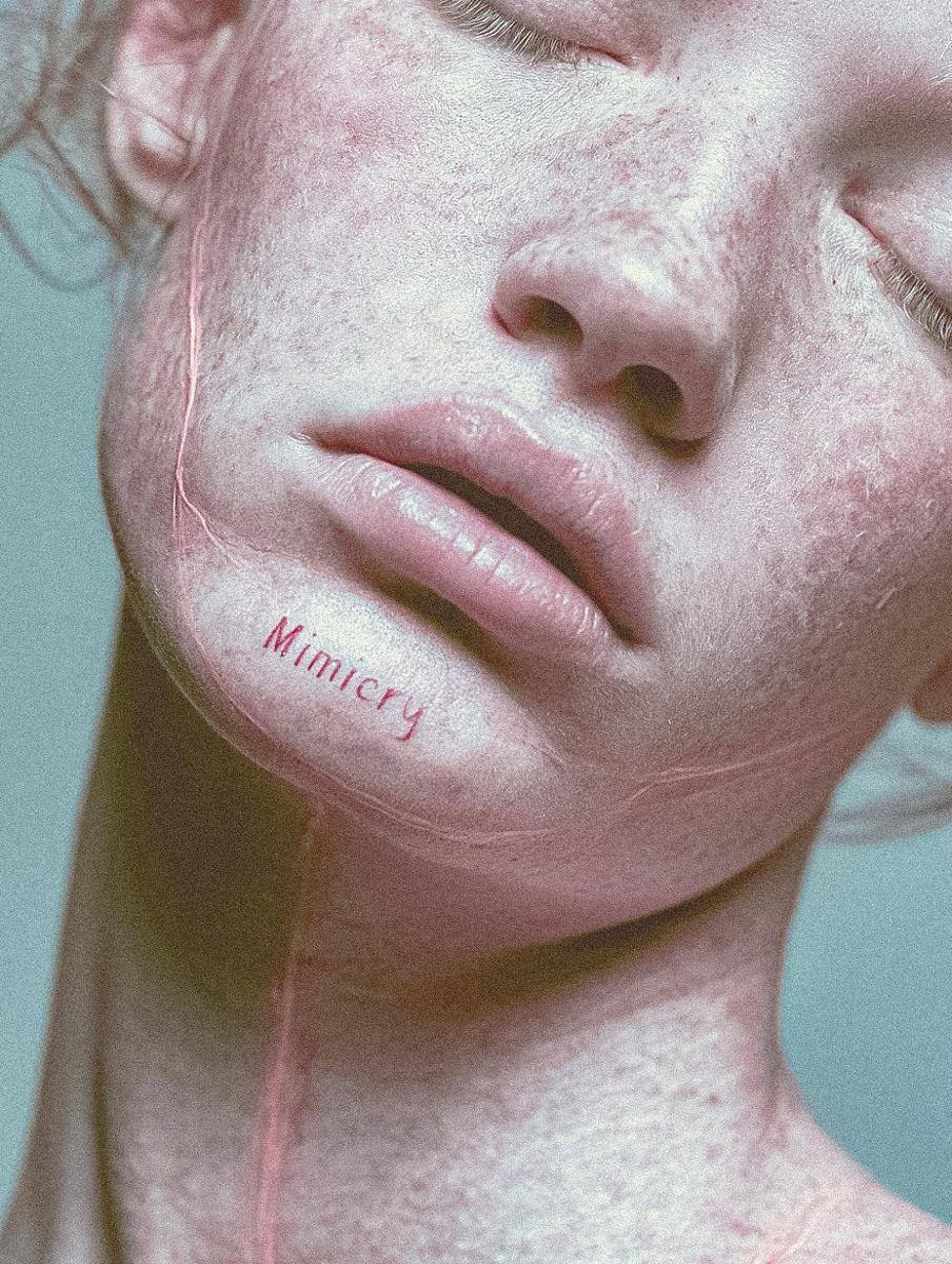 Mimicry. WAYS12