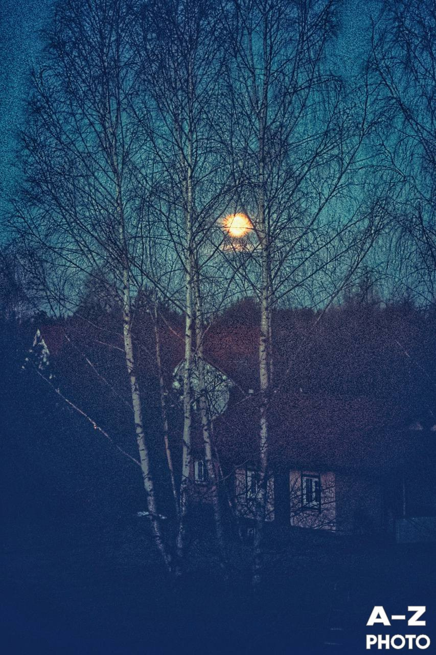 #ФОТОНЕДЕЛИ 06.04.2026. Женский семейный фотограф Тула Москва Захарова Анна