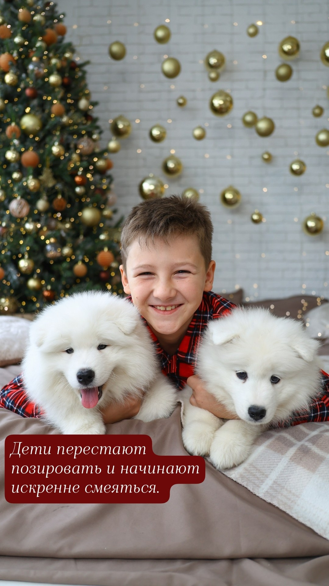 Собака улыбака