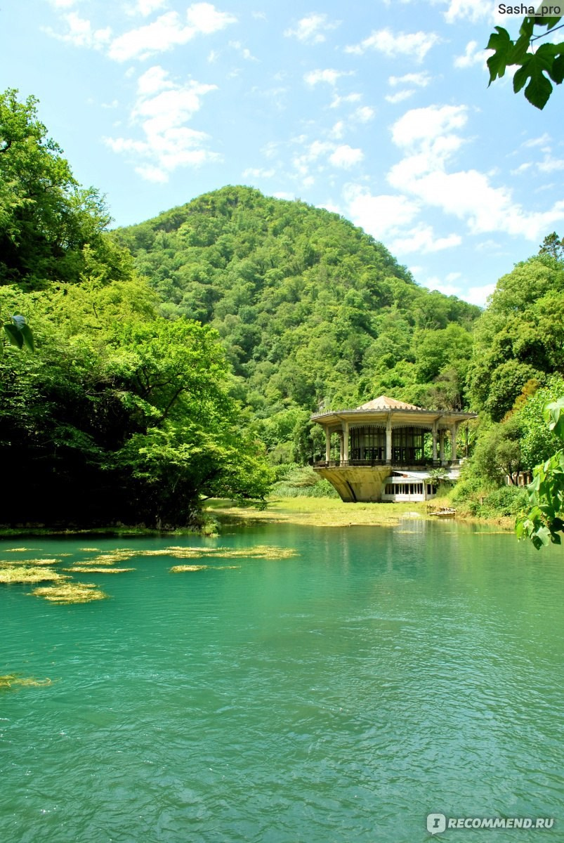 Обучающий фототур в Абхазию 20–25 февраля 2026. Детский и семейный фотограф Елена Михайлова в Москве