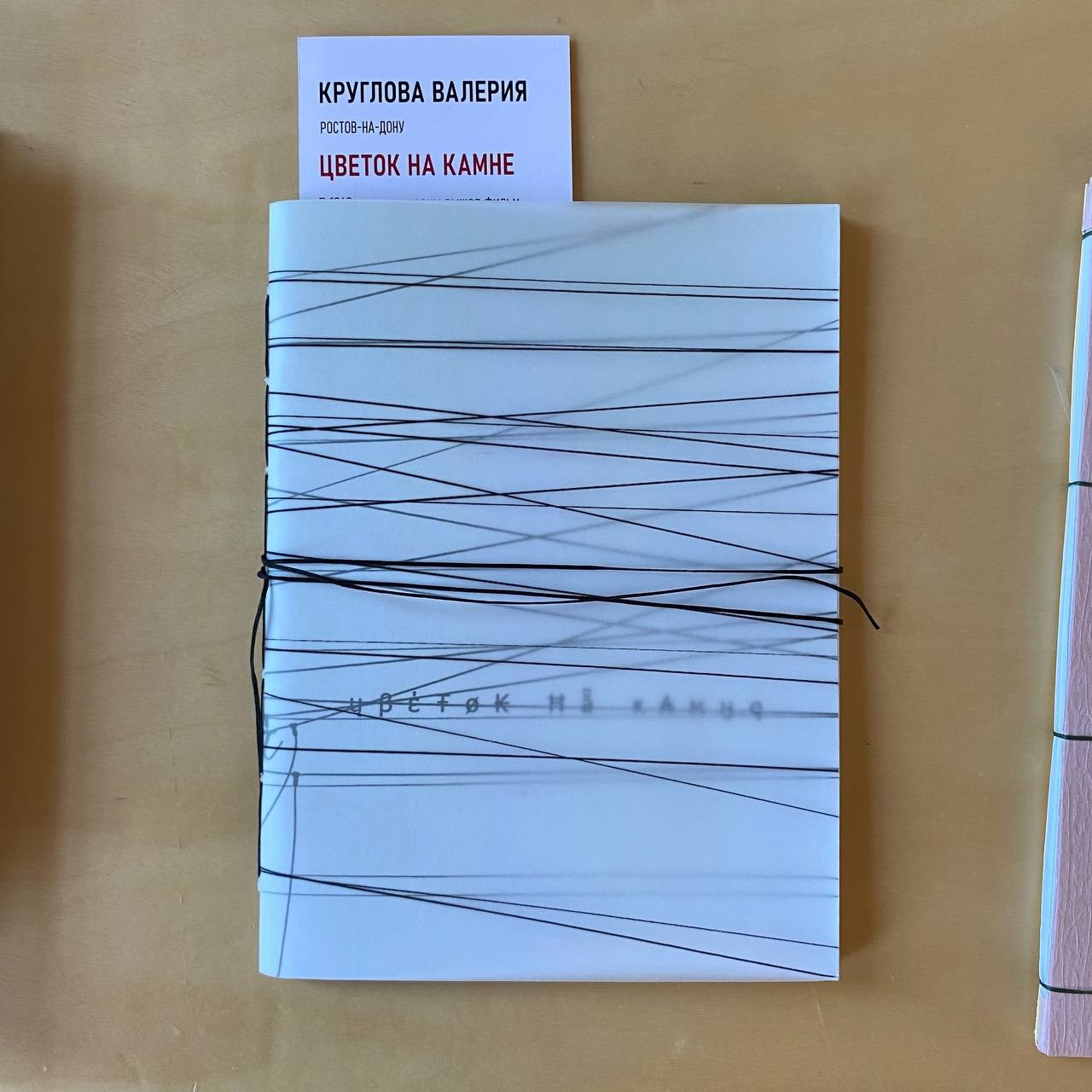 Зин-зин, фестиваль зинов, 5–6 августа 2023, Хабаровск. Лера Круглова