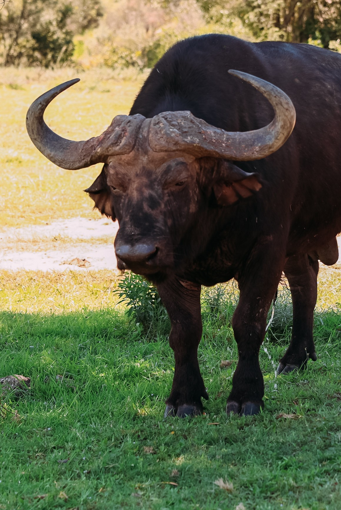 Фотограф Марина Аблаева-Кожедуб
