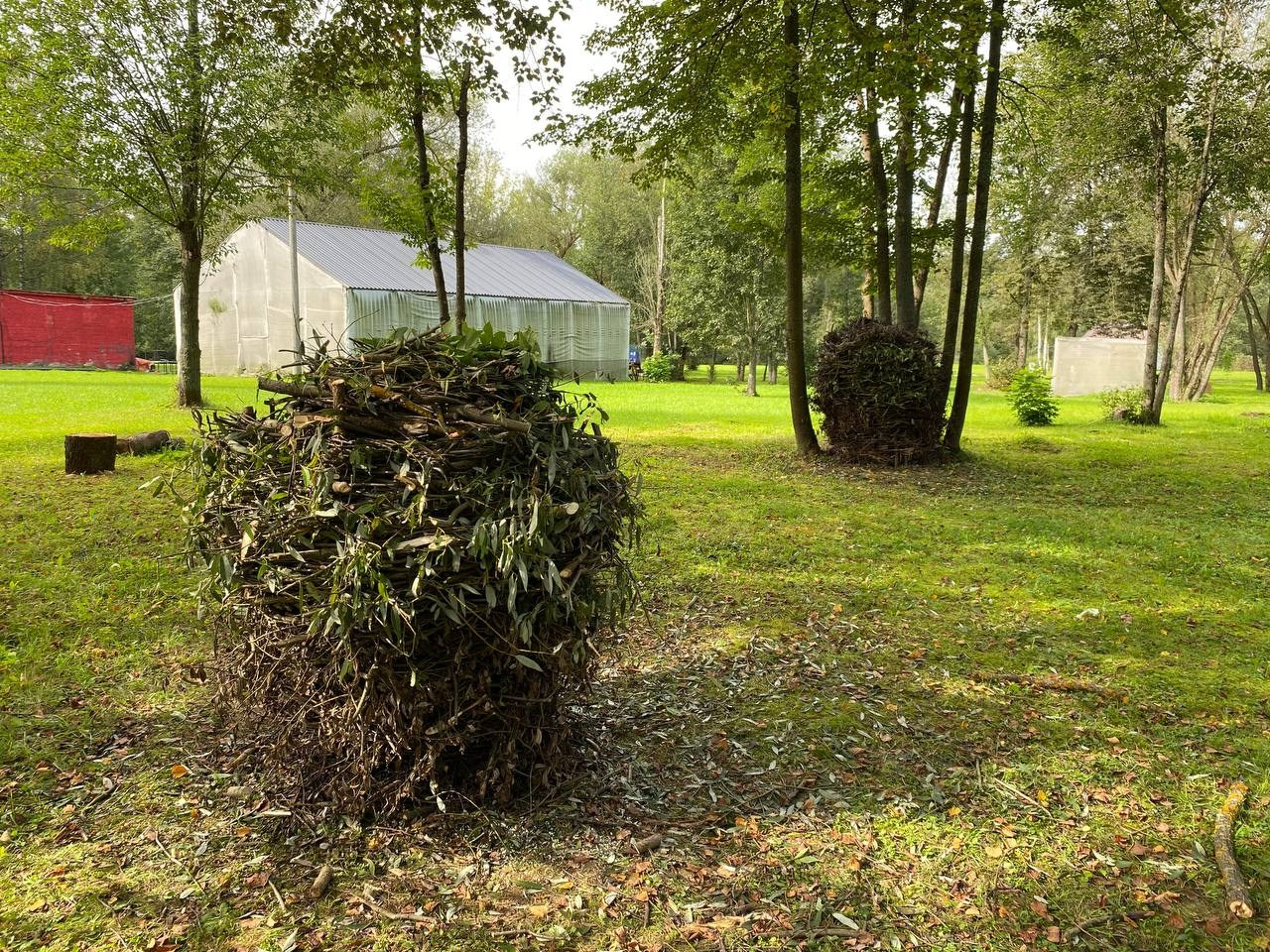Парк Шиньонов. Лилия Ким. Междисциплинарный художник