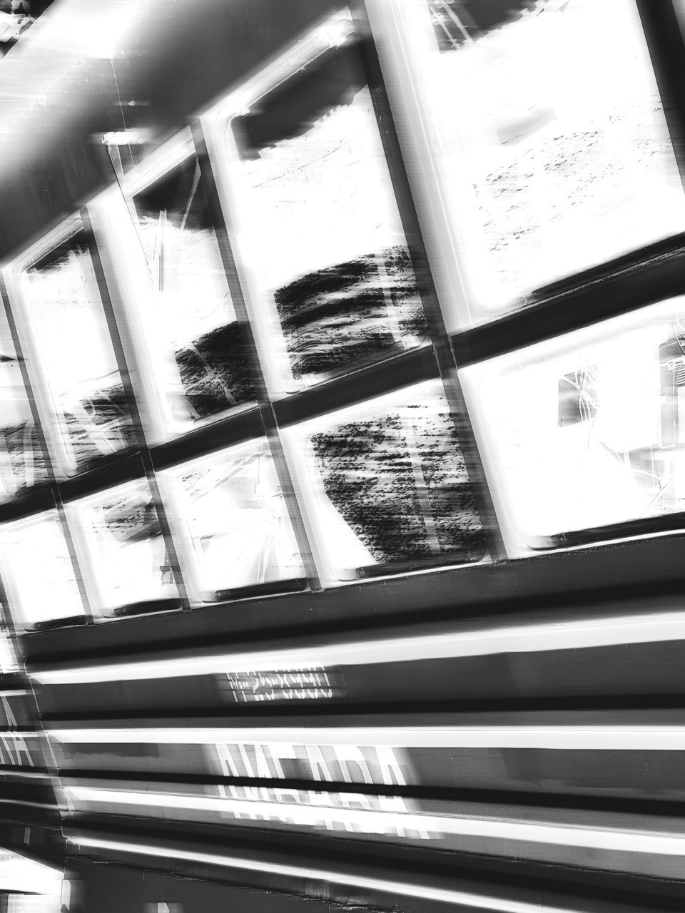 VOICE OF THE CITY. VISUAL ARTIST