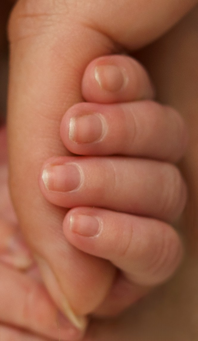 Новорожденные Newborn. Фотограф беременности и детей Воронеж/Бутурлиновка Ткачева Аня