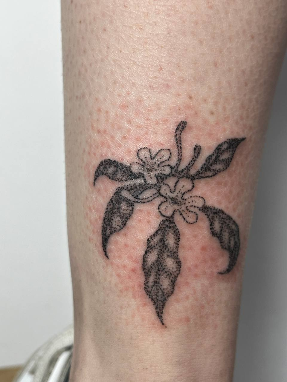 TATTOOS. Xexexena.ru