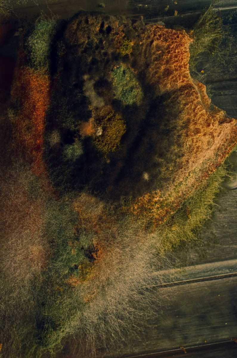 Абстрактный. Самид Али, фотограф из Санкт-Петербурга, Россия