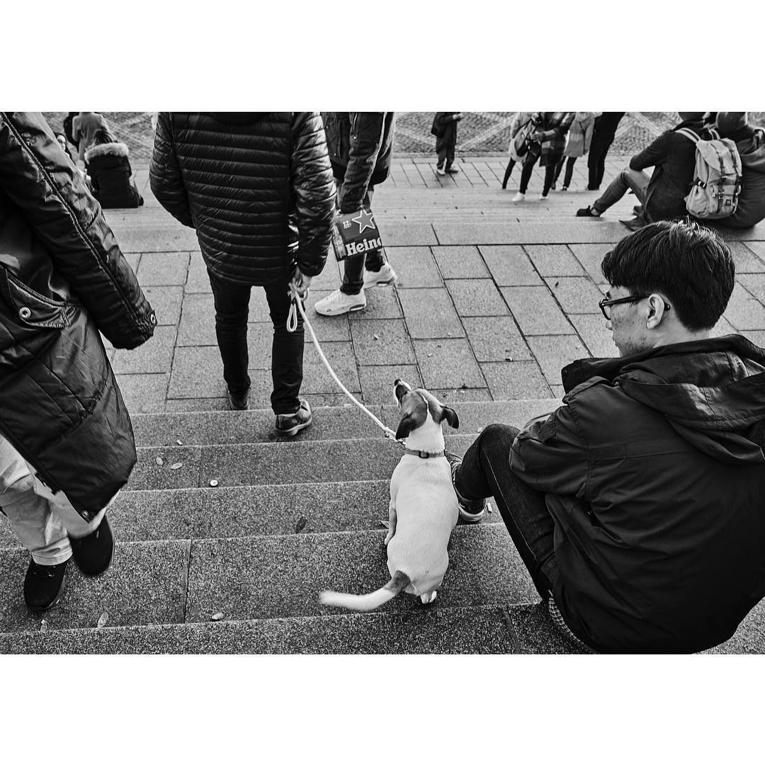 Paris: Download Error