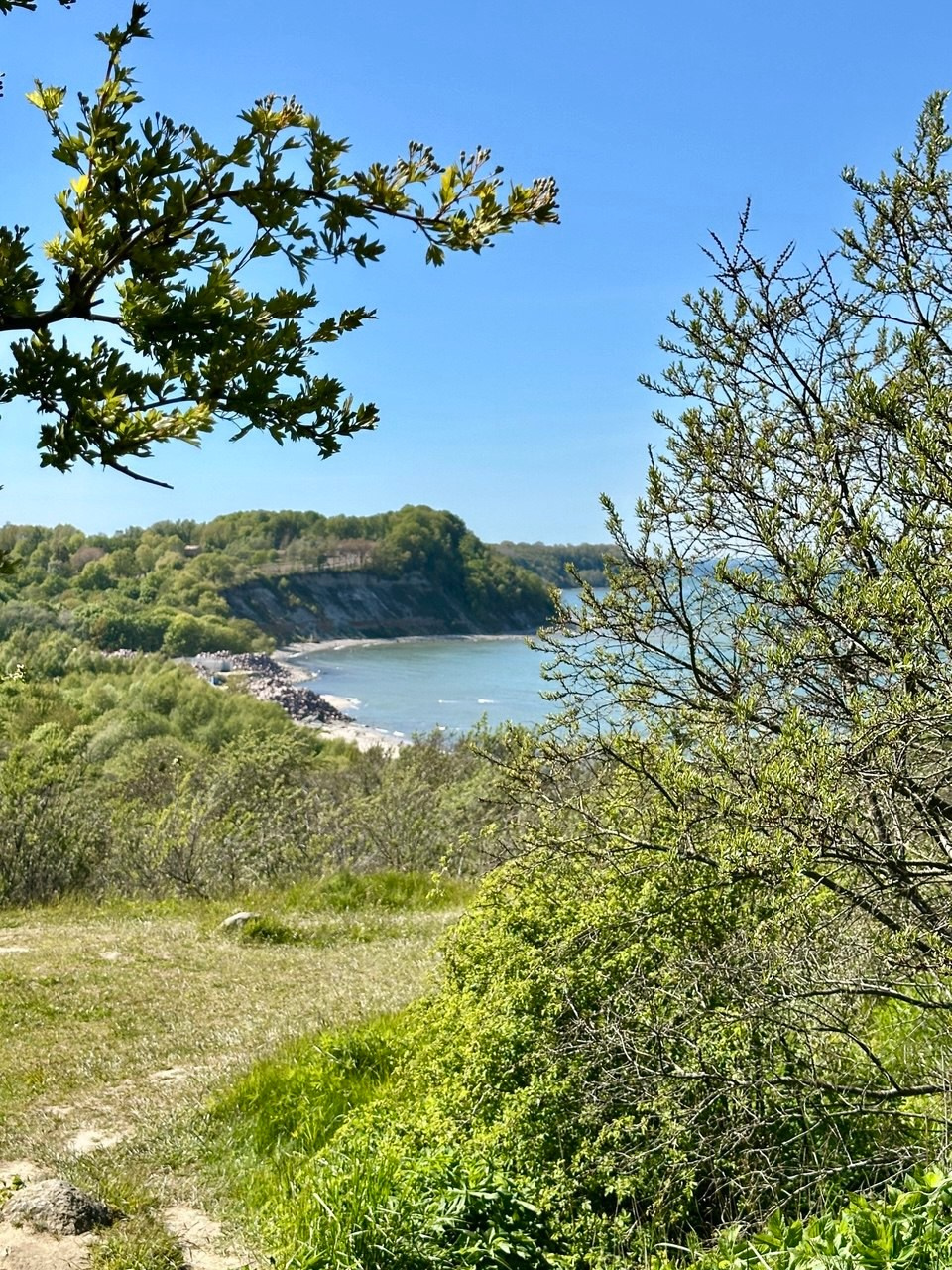 Фототур «Свет янтаря в сердце Балтики». Ольга Котова