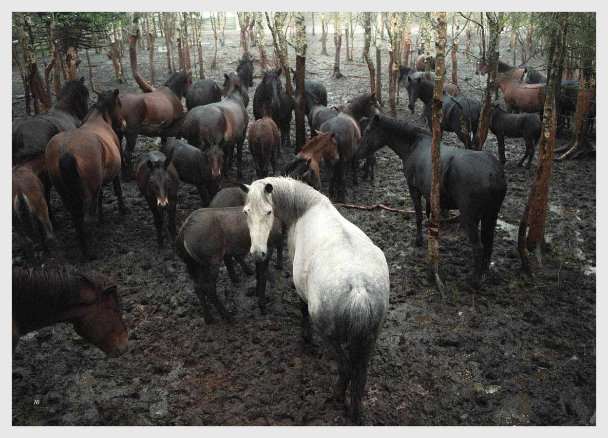 Books. Emil Gataullin