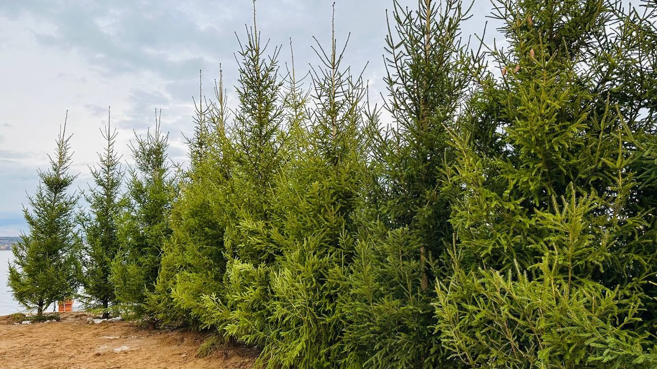 Крупномеры РФ