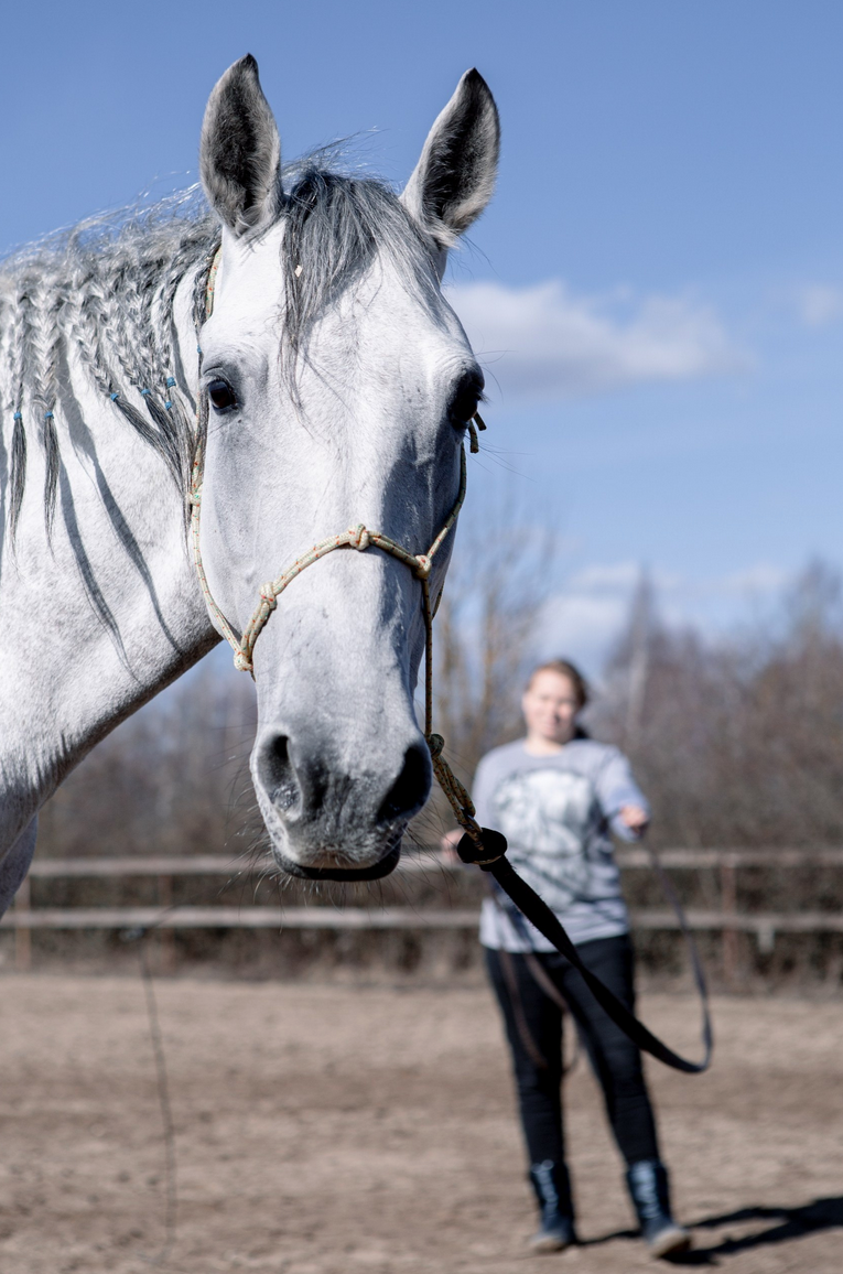 Лошади. Свадебный и портретный фотограф Москва