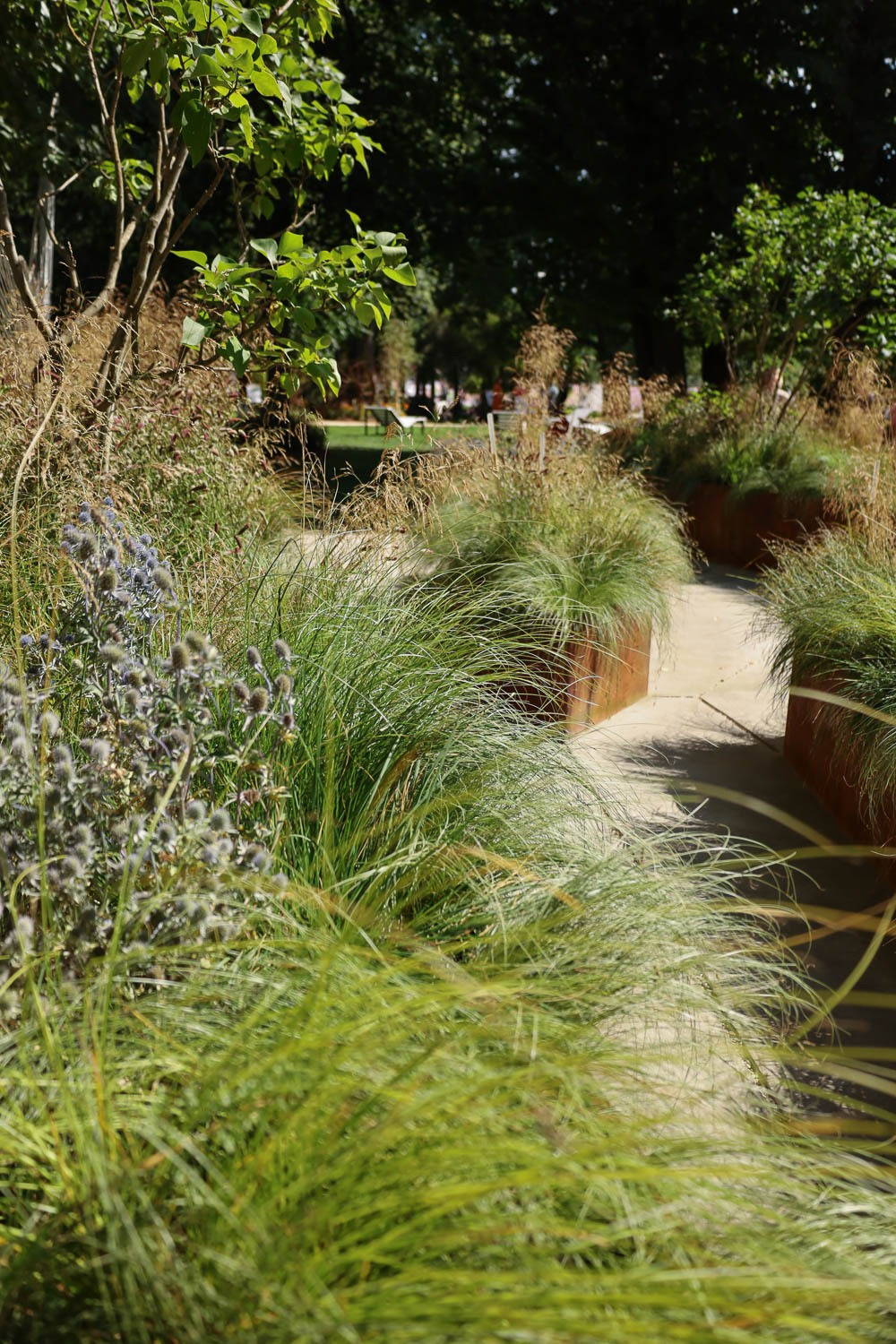 Фестиваль «Сады и люди» на ВДНХ. Семейный и свадебный фотограф в Москве и Домодедово Анна Авилочкина