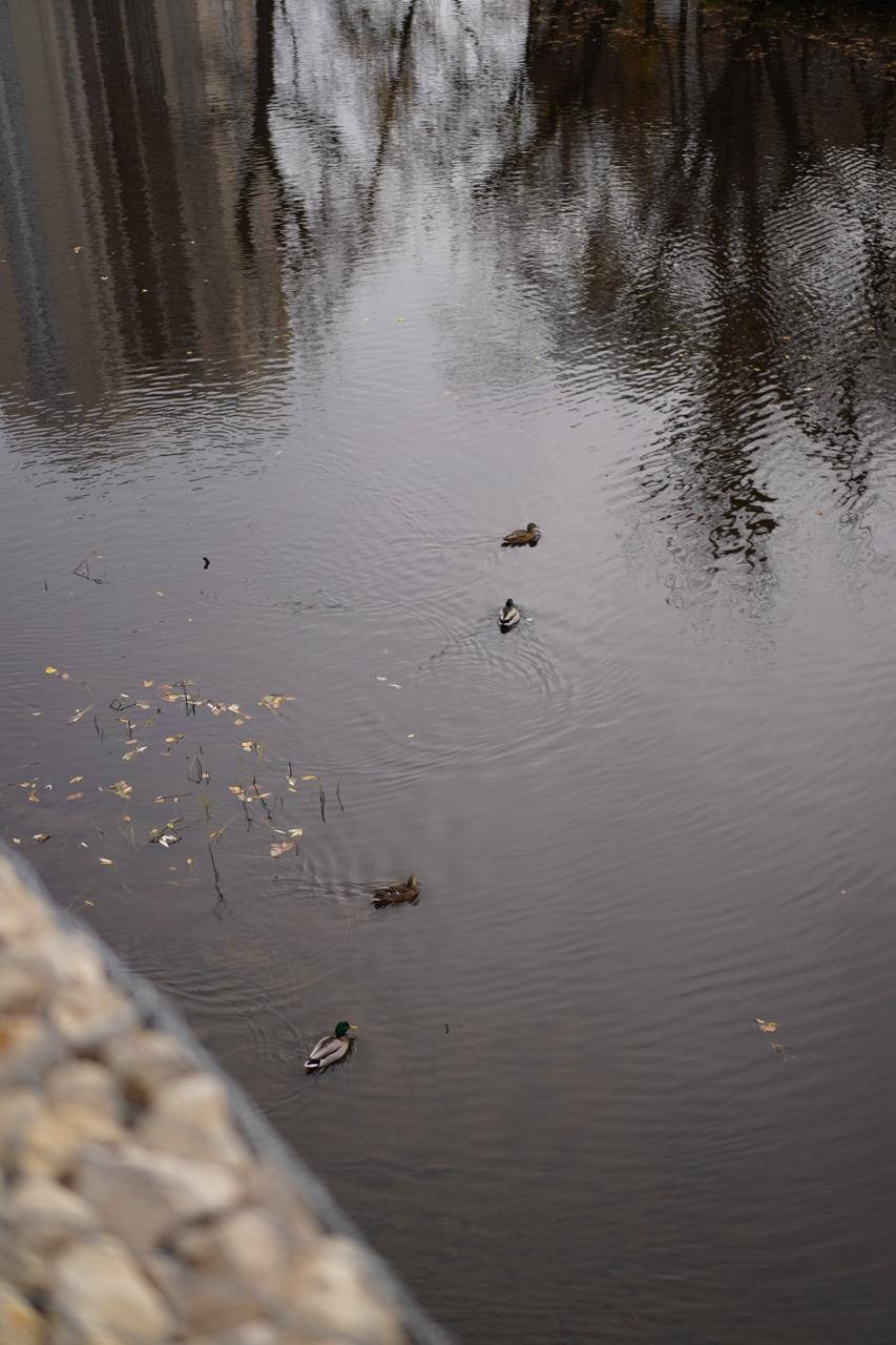 Кирпич Италии