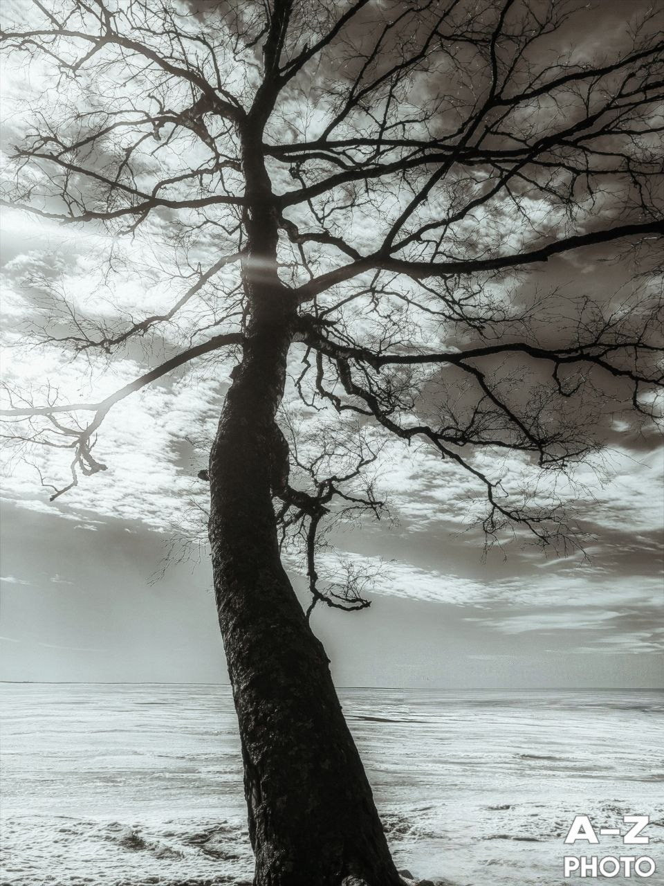 #ФОТОНЕДЕЛИ 30.03.2026. Женский семейный фотограф Тула Москва Захарова Анна