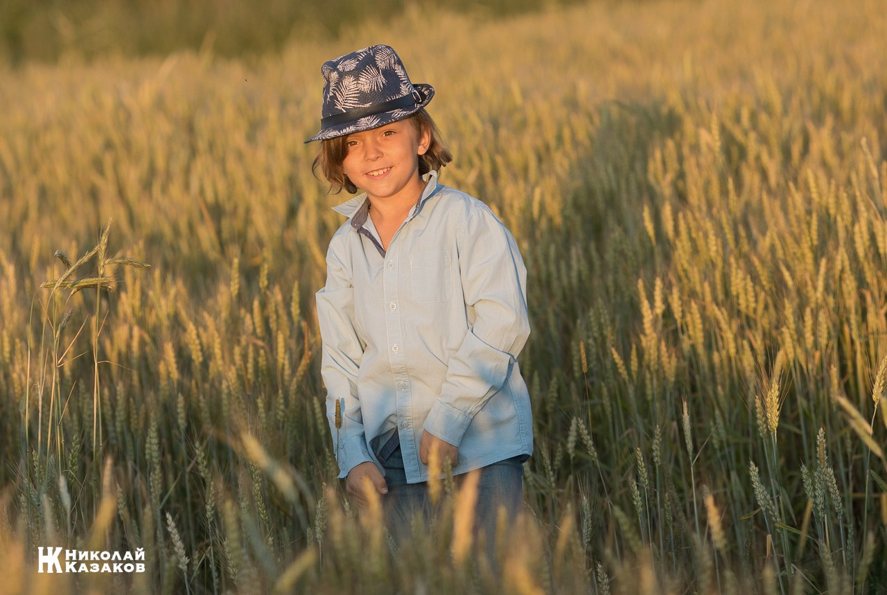 Позитивный портрет маленького мальчика с светлыми волосами в лучах заката, играющий в пшеничном поле во время фотосессии.