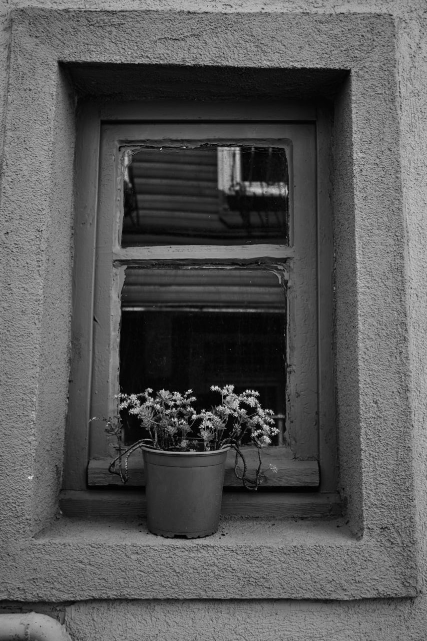 Черно-белые фотографии из весенней поездки в Стамбул. Елена Павленко. Фотограф. Москва