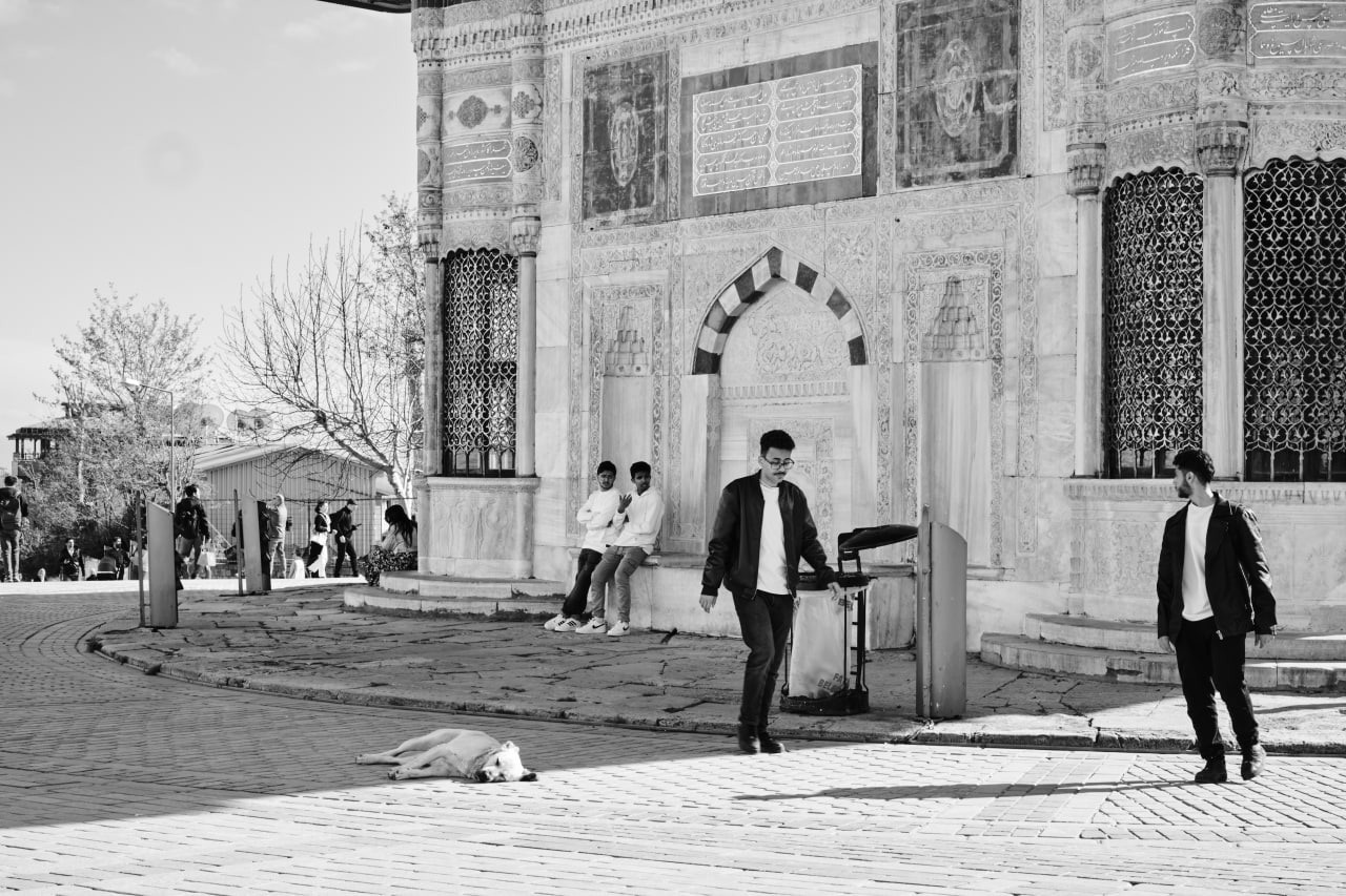 Черно-белые фотографии из весенней поездки в Стамбул. Елена Павленко. Фотограф. Москва