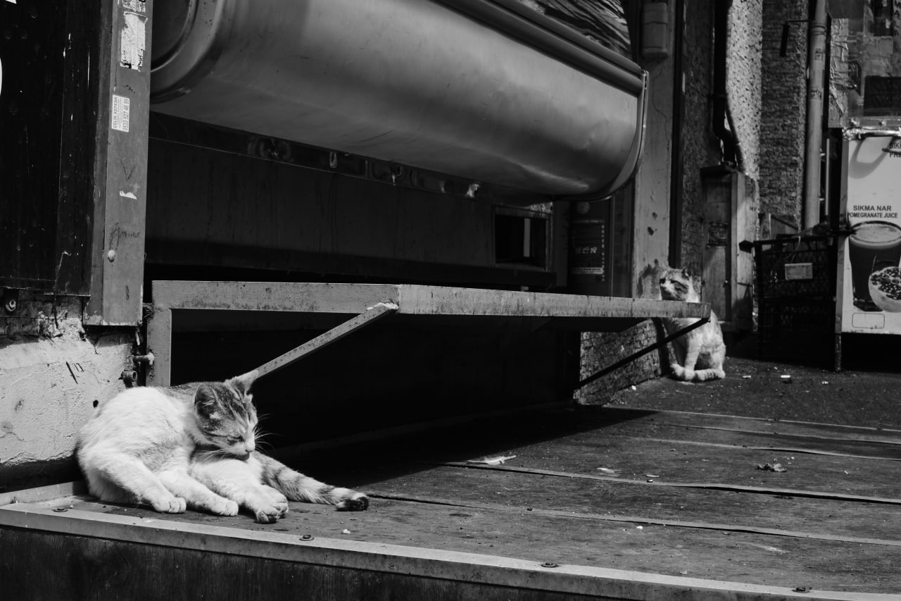 Черно-белые фотографии из весенней поездки в Стамбул. Елена Павленко. Фотограф. Москва