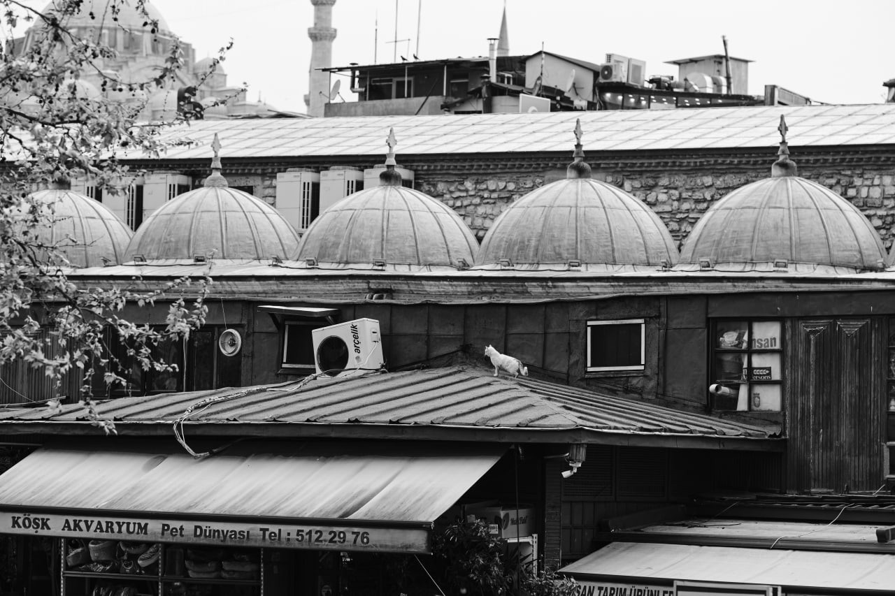 Черно-белые фотографии из весенней поездки в Стамбул. Елена Павленко. Фотограф. Москва