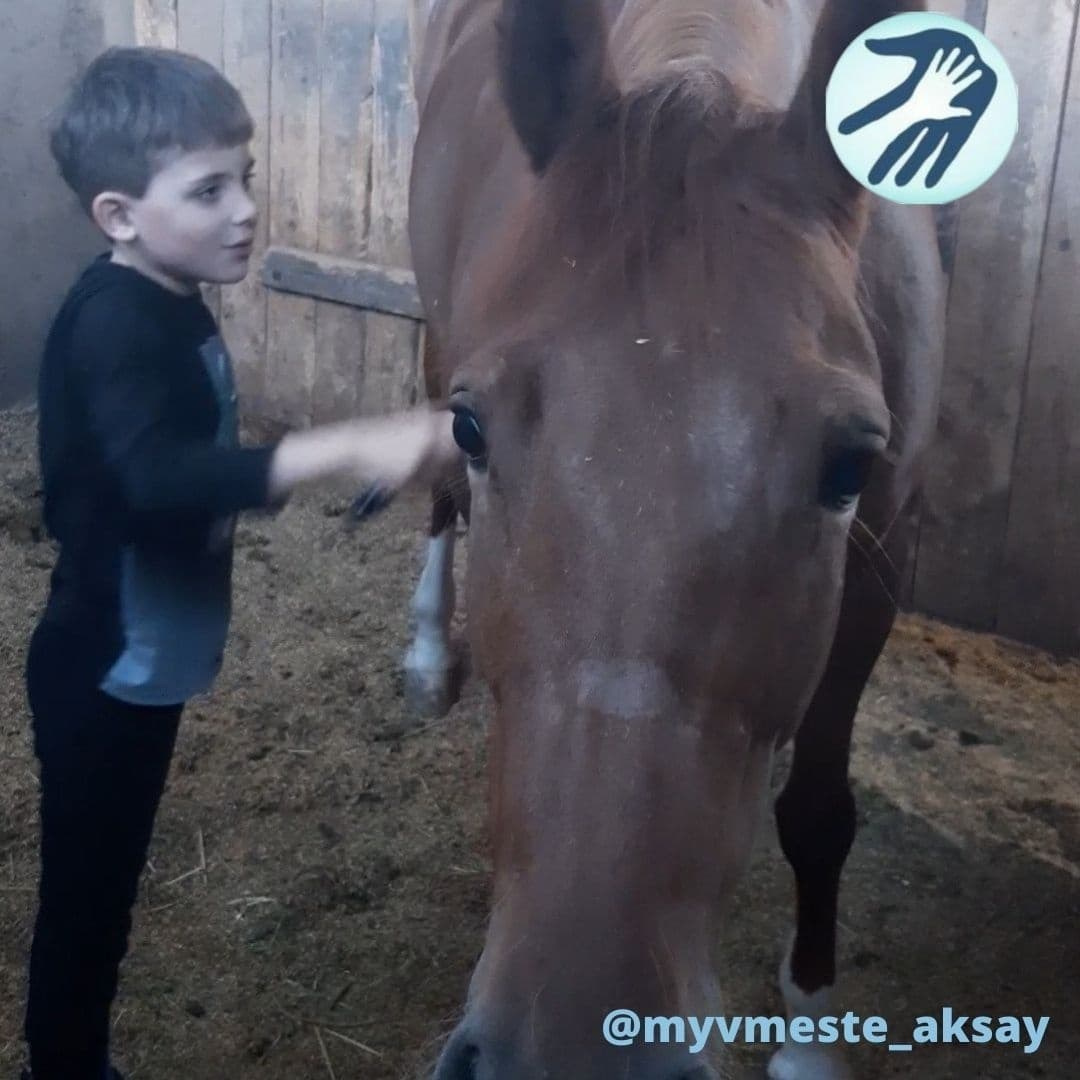 Мечты становятся реальностью: первый месяц сотрудничества с КСК 'Ход конём'!