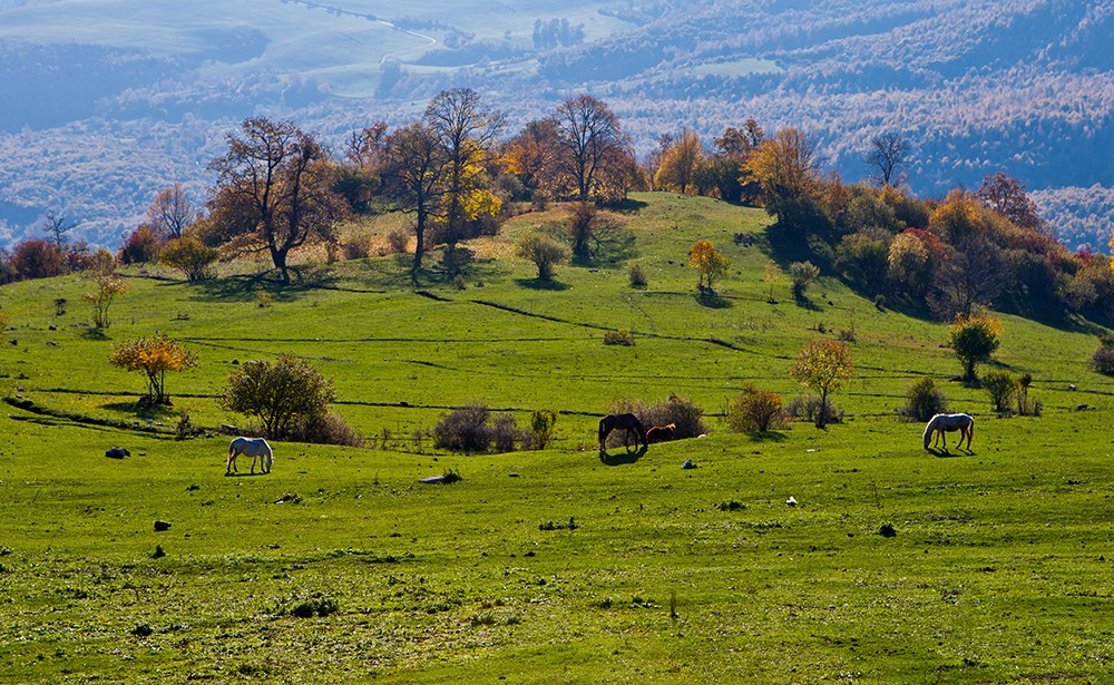 Осенняя Армения 2026 | Фотограф Дмитрий Купрацевич. Дмитрий Купрацевич профессиональный пейзажный и travel-фотограф