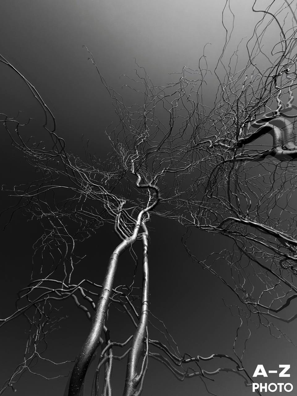 #ФОТОНЕДЕЛИ 06.04.2026. Женский семейный фотограф Тула Москва Захарова Анна