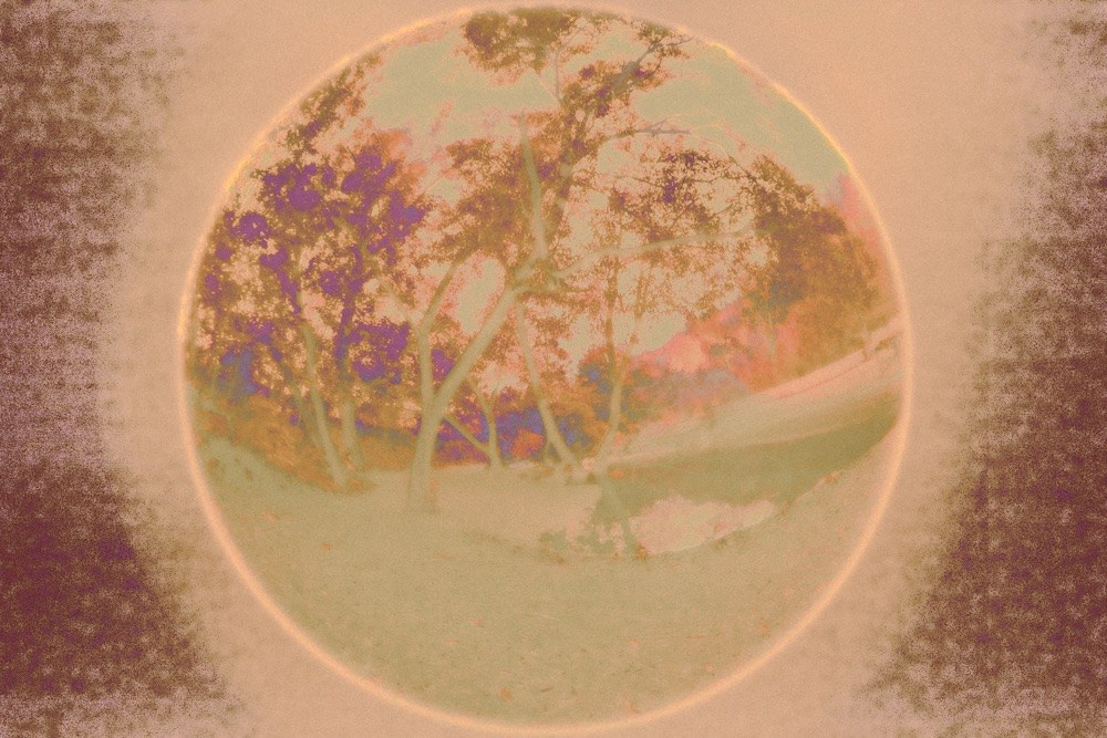 СНЫ О ДЕТСТВЕ. Визуальный артист Наташа Солнцева