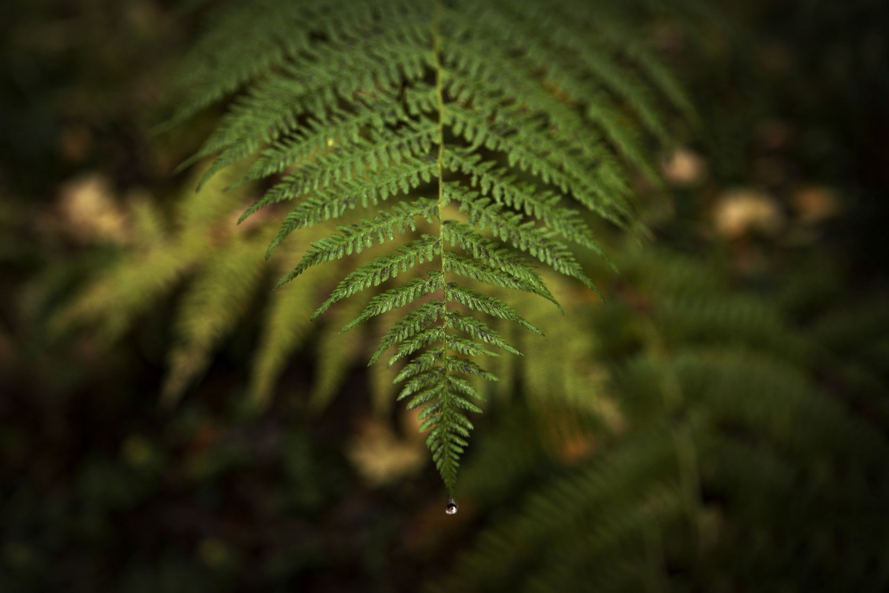 Путешествия говорят. Портретный женский фотограф в Москве Наталия Глазова