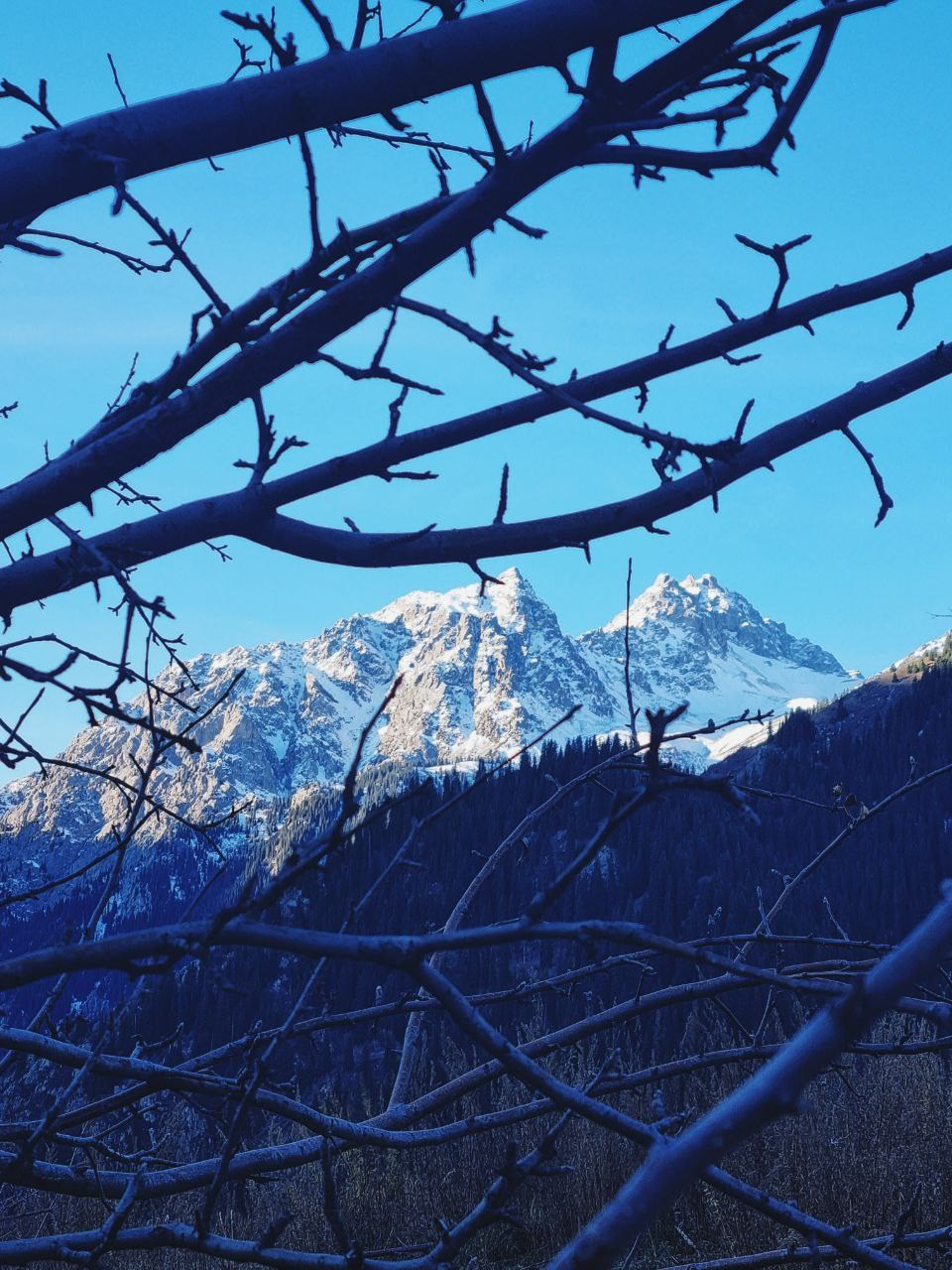 Melon Travel в Алматы: экскурсии и джип туры в Чарынский каньон, озера Каинды, Кольсай, Иссык, национальный парк Алтын Эмель