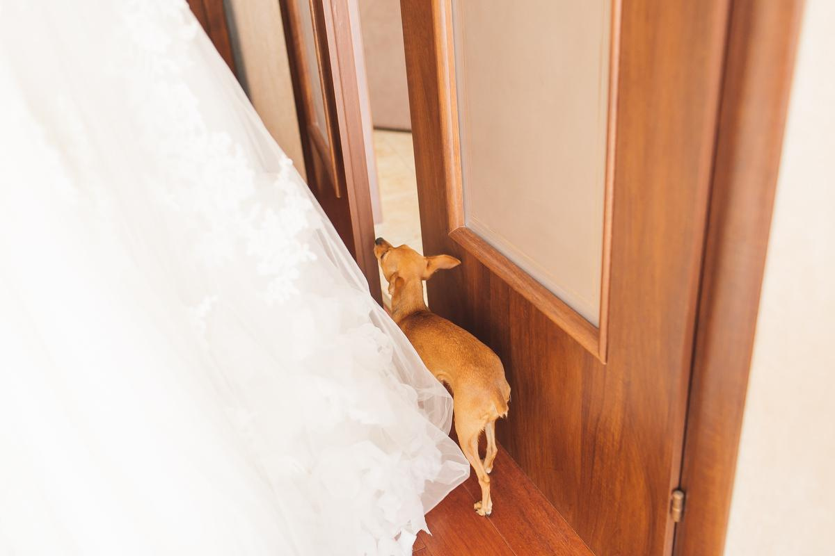 Лена и Саша. Анна Евграфова — профессиональный фотограф в Санкт-Петербурге