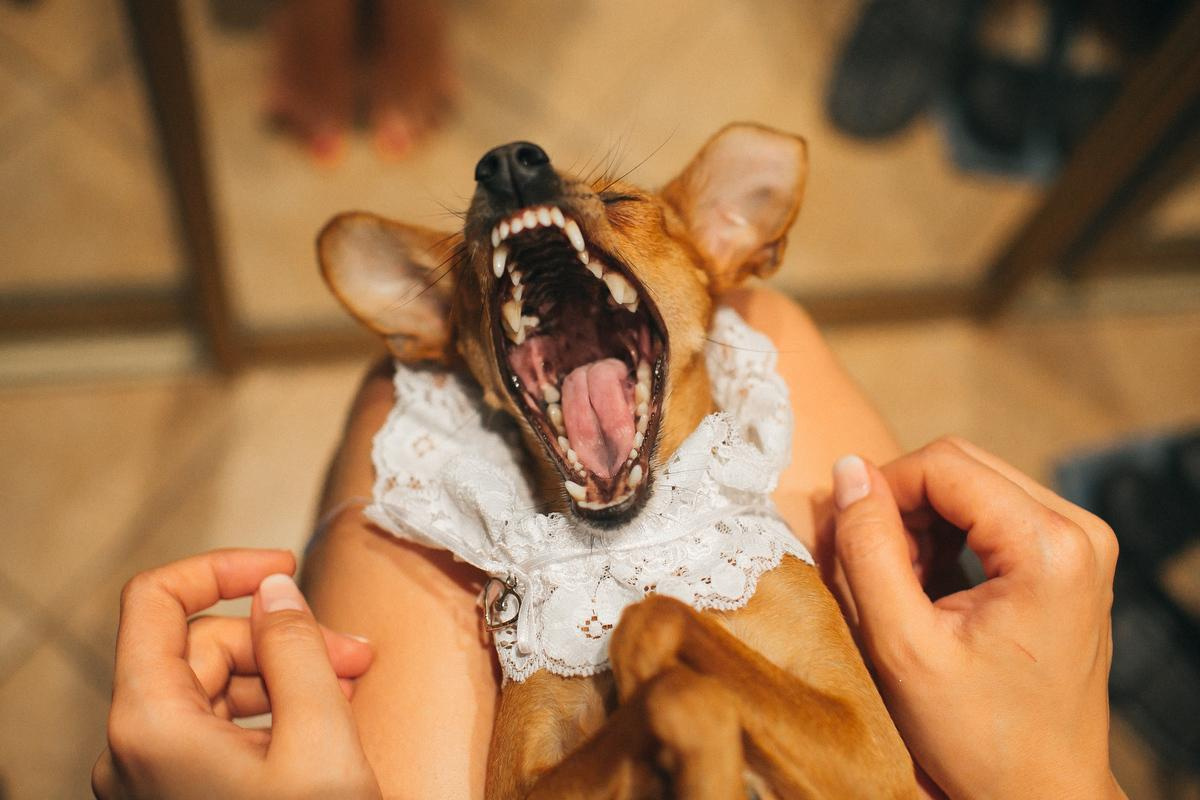 Лена и Саша. Анна Евграфова — профессиональный фотограф в Санкт-Петербурге