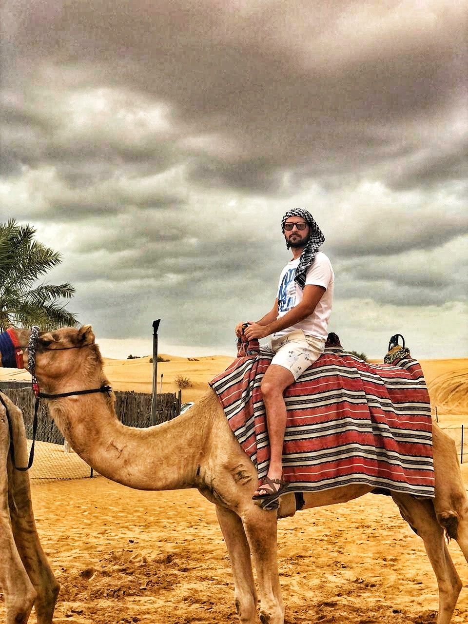 Свадебный фотограф в Новосибирске. Свадебный фотограф в Новосибирске Maxfotonsk (Максим Сысолятин)