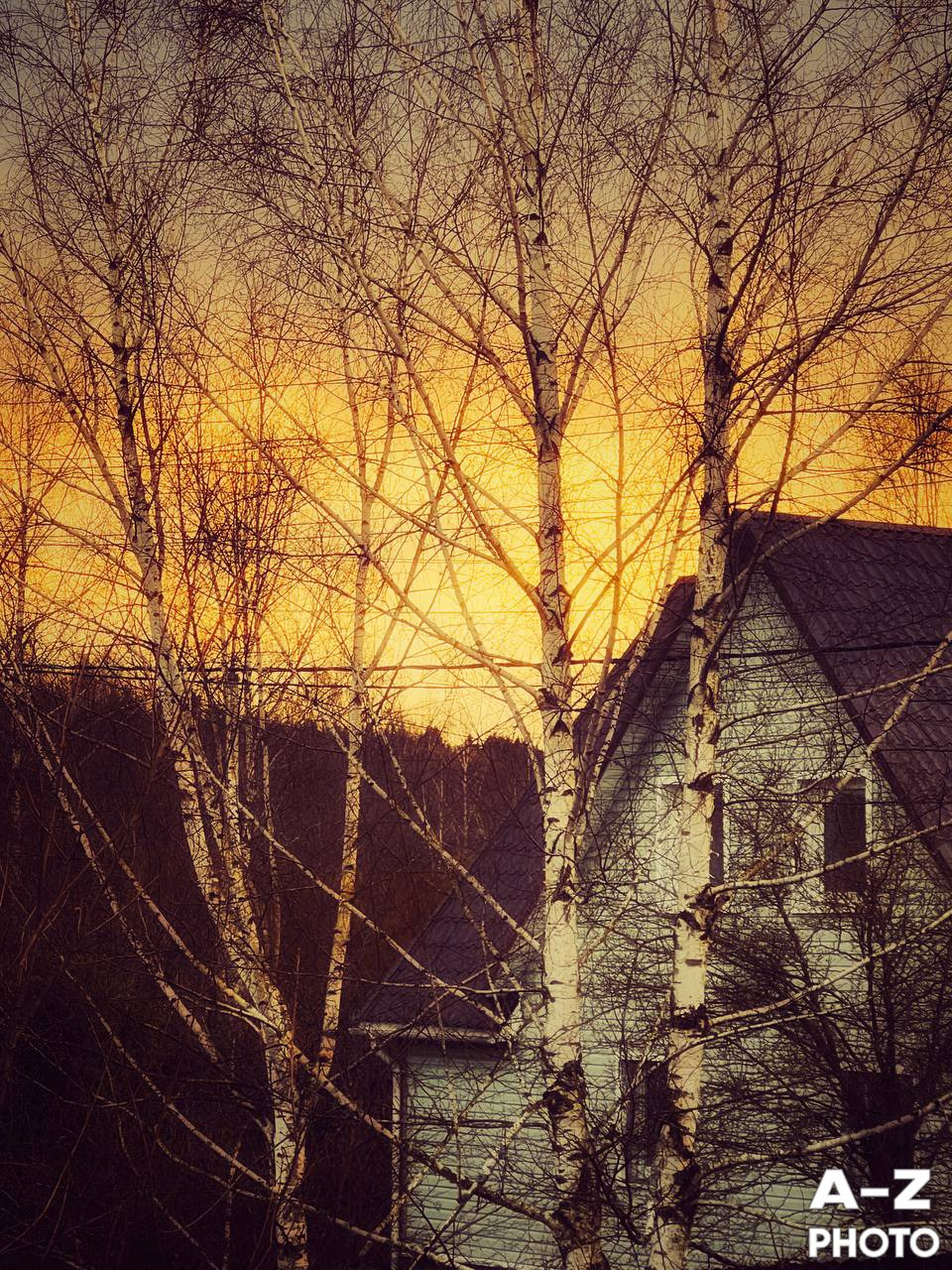 #ФОТОНЕДЕЛИ 06.04.2026. Женский семейный фотограф Тула Москва Захарова Анна