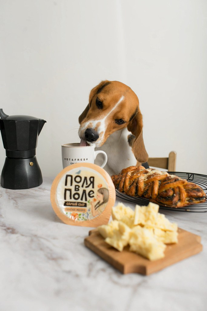 Фуд съемка молочной продукции комбината Роса в Смоленске. Фотограф | Михаил Буш Смоленск