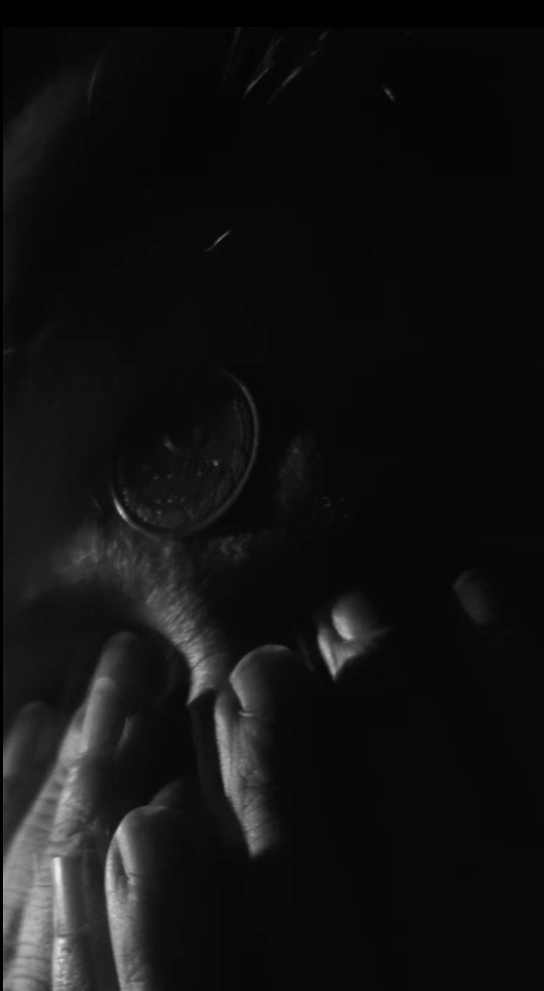 Нежные бабы. Что мне делать, чтобы земля оставалась на месте. Художественная группа «Нежные Бабы»