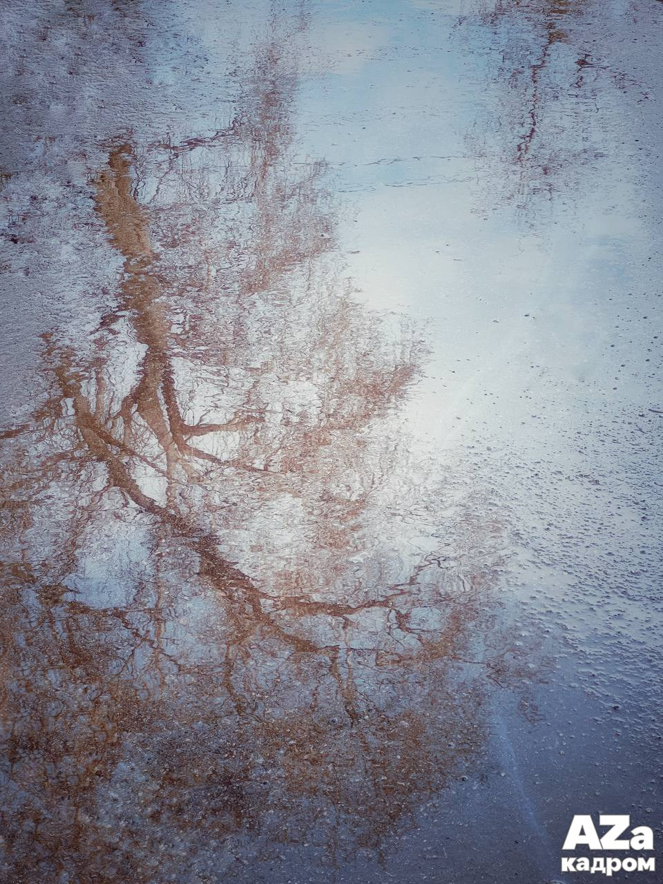 Дыхание весны. Фотоклуб AZакадром. Женский семейный фотограф Тула Москва Захарова Анна